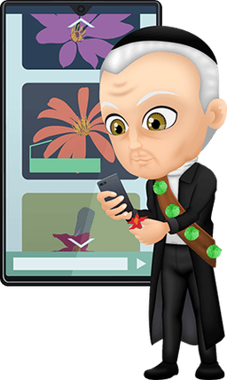 Aplicación Mutis Web